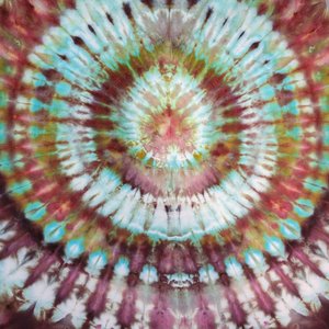 18/20 1X V-Neck T-Shirt, Golden Plum Dendrite