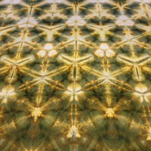 Bandana, Large, Loden Shibori