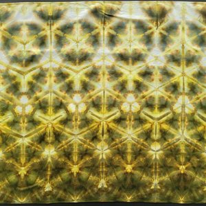Bandana, Large, Loden Shibori