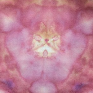 Bandana, Medium, Owlbear Shibori 