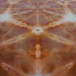 Bandana, Medium, Rust Monster Shibori 