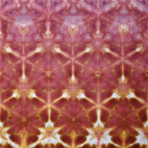 Bandana, Medium, Owlbear Shibori 