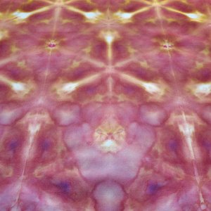 Bandana, Medium, Owlbear Shibori 