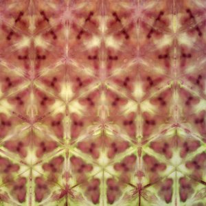 Fat Quarter, Enchanted Sunset Dark