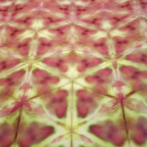 Fat Quarter, Enchanted Sunset Dark
