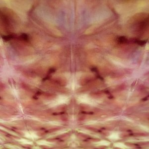 Fat Quarter, Enchanted Sunset Dark