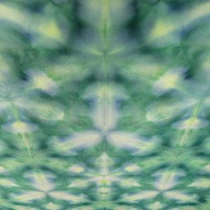 Fat Quarter, Pine