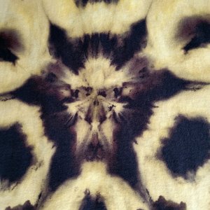 L Hooded T-shirt, Reverse Farnsburst