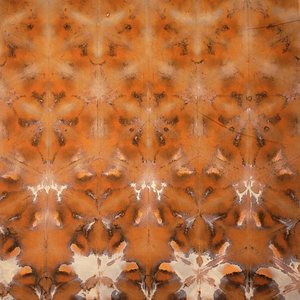 Fat Quarter, Umber