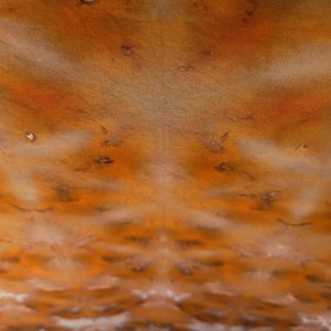 Fat Quarter, Umber