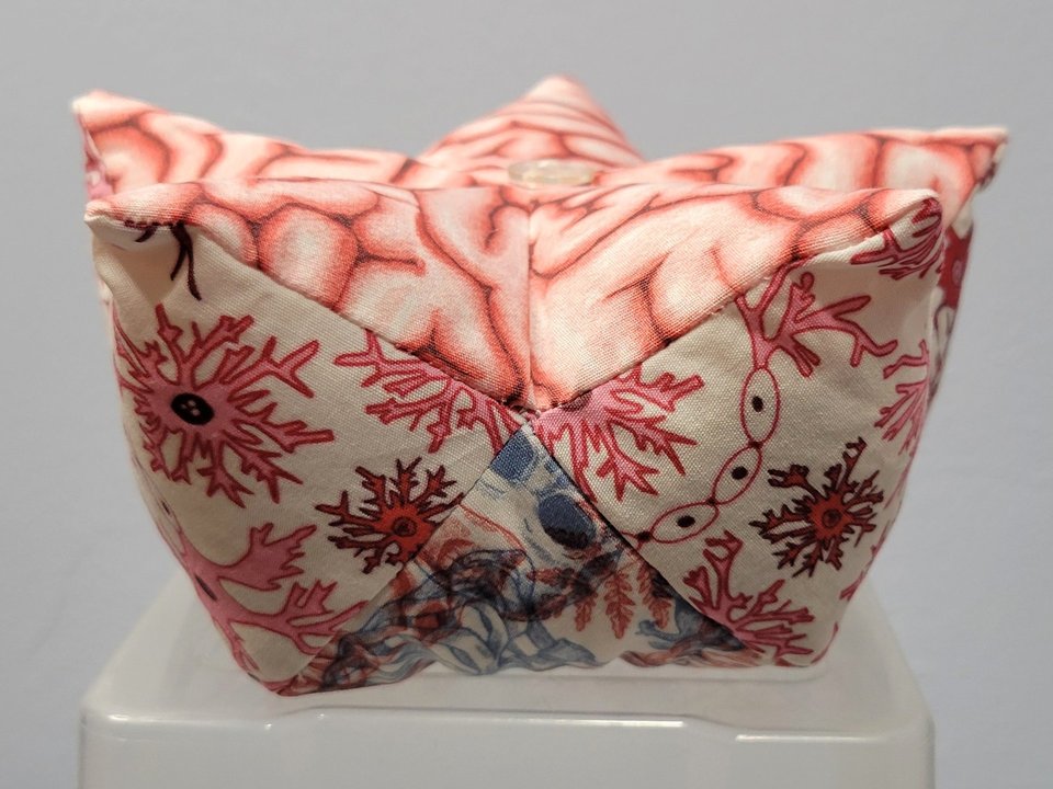 Pin Cushion, Brains & Neurons