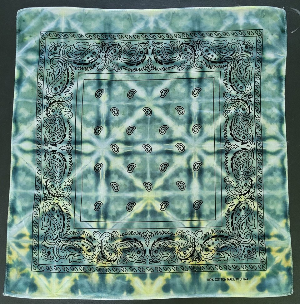 Bandana, Small, Hunter Shibori