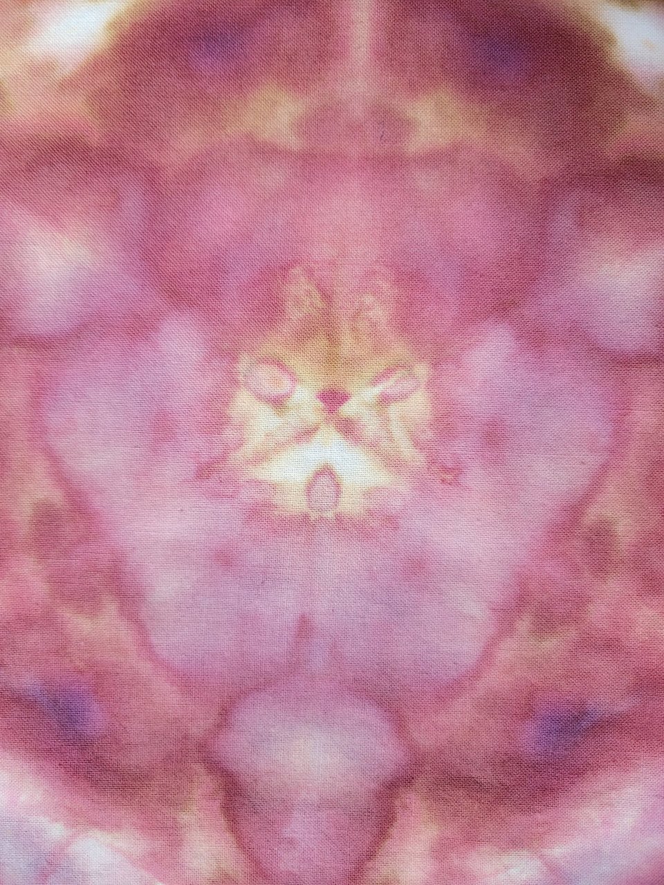 Bandana, Medium, Owlbear Shibori 