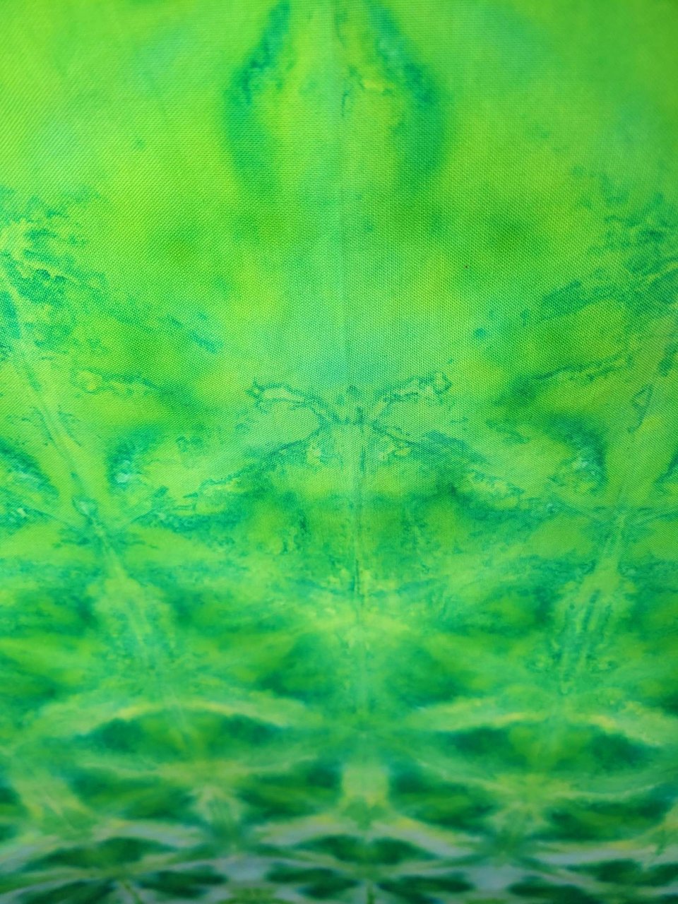 Fat Quarter, Snake Bite
